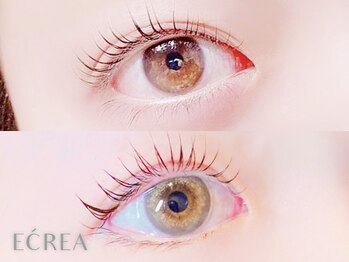 エクレア 八王子店(E’CREA)の写真/[八王子/韓国アイドル風束感まつ毛パーマ］グループ月間6万人↑通うまつげパーマ専門店◎2回目以降もお得♪