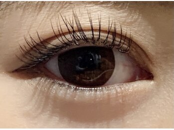 カラン 焼津店(CALIN)/フラットラッシュ120本