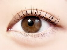 パキラ(Pachira)/根元からぱっちり♪まつ毛パーマ