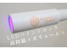 高持続×ボリューム【LEDダブルフラット140束】