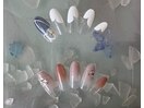 2026/6　定額こだわりデザイン