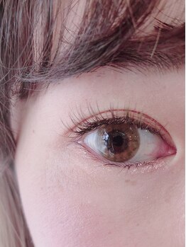 アイラッシュ ノート1103(eyelash note.1103)/ブラウンフラットラッシュ