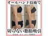 【痩身/産後ダイエット】デトックス美容整体90分　13000円→8800円