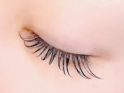 ナナ(nana)の写真