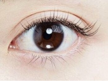 ドーリーラッシュ イオンモール熊本店/自然な仕上がり