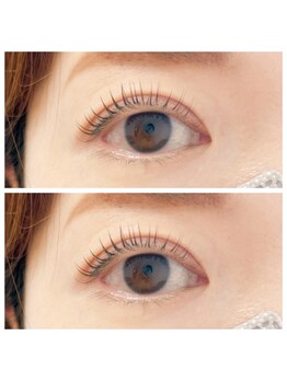 ノエル(Noel)/まつ毛パーマ