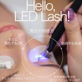 プラセル(placer)