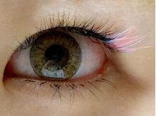 ミニョンアイラッシュデザインサロン くずは店/Mignon's　Color　Collection