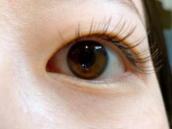 アイクイック 高田馬場店(Ai Quick)/ブラウンフラットラッシュ