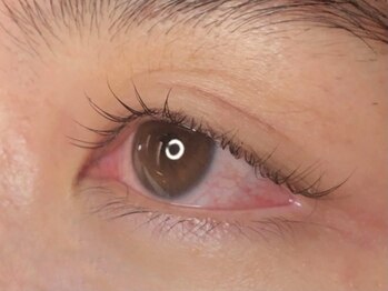 ウルカ アイラッシュ(uruka EYELASH)/ラッシュリフト