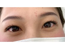 シスタス(Cistus)/高持続フラットラッシュ