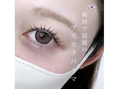 プラリネ(Praline)の写真