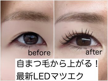 リノモア(LinoMoa)の写真/パーマをかけなくても、根本から上がるリフトアップLEDエクステ◆自然でナチュラルな仕上がり◎【蒲田】