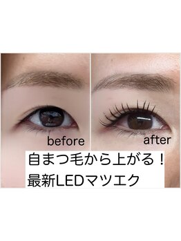 エクステの種類が豊富