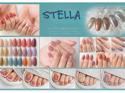 ステラ(STELLA)の写真