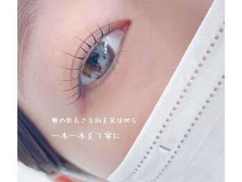 リリー バレンタイン(Lily Valentine)/大通/まつげパーマ/まつ毛パーマ