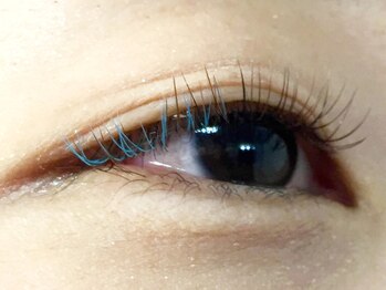 ミニョンアイラッシュデザインサロン くずは店/Mignon's　Color　Collection