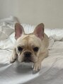 ザ バーム 船橋店(THE BALM) 愛犬のメアリーです♪