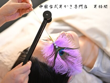 耳桜閣の写真