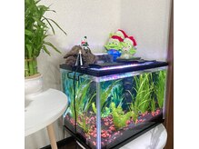 ネット予約が取れない際は1度お電話に確認してください☆