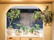 精神と時のジム 恵比寿店の雰囲気（植物囲まれ、澄んだ空気と太陽の光が当たる部屋）