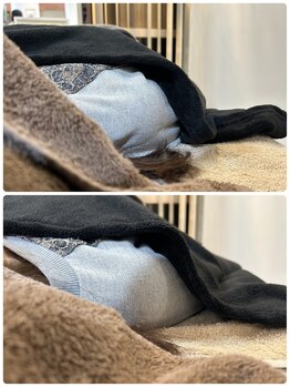 優頭(yuzu)/巻き肩改善☆