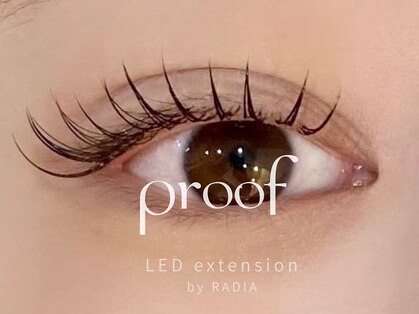 プルーフ(proof)の写真