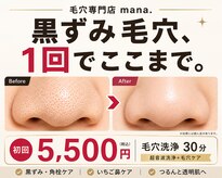 マナ(mana)