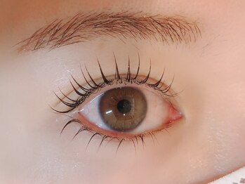 マイショウ 加須店(MY SHOW)/まつげパーマ 上下