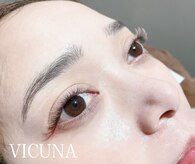 ヴィクーニャ(VICUNA)