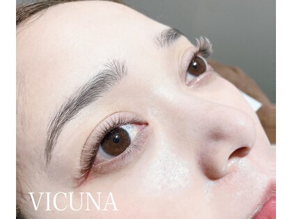 ヴィクーニャ(VICUNA)の写真