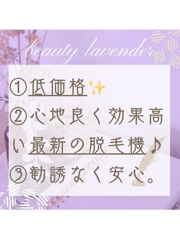ビューティーラベンダー/低価格
