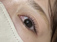 リノ(Lino)/まつげパーマ