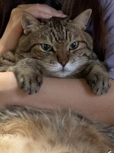 サロン ド スー(Salon de Suu)&nbsp;ニシ 