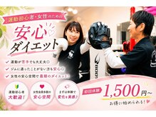 スタイルボクシング ブリッジ