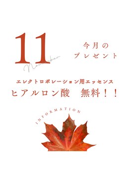 スーフラワー(SOO-flower)/11月のプレゼントは…