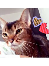 痩せるアンド癒しアンドキレイ専門店 パルパル&nbsp;Palupalu フリー予約