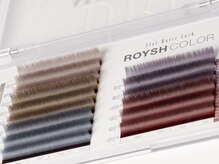 モルレーヴ(MOLREVE)/フラットラッシュカラー／池袋