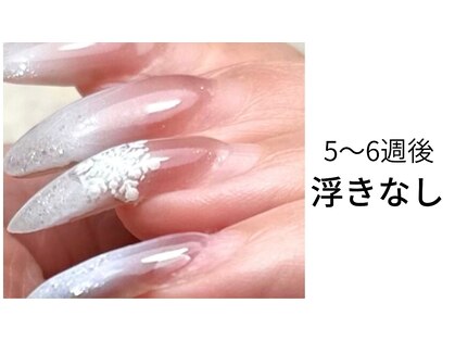 スノードロップス(Snow Drops)の写真