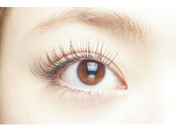 イヴ アイラッシュアンドネイル(Eve eyelash&nail)/120本(両目)