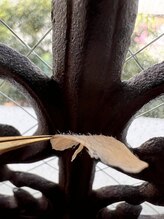 ジョジョ バイ ベロニカ(JoJo by Beronica)/wax1回でこんなにゴッソリ！