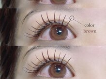 ビーナスベルト 池袋(VENUS BELT)/カスタムeyelash【マツエク】