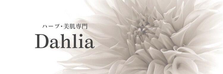 ダリアのサロンヘッダー