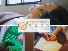やなけん 亀戸店