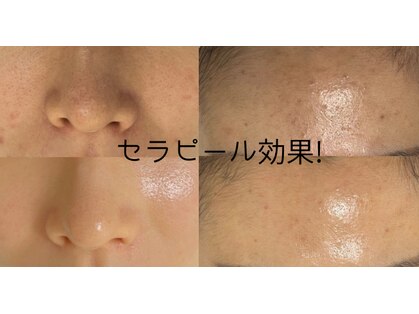 ポリー(Polly)の写真