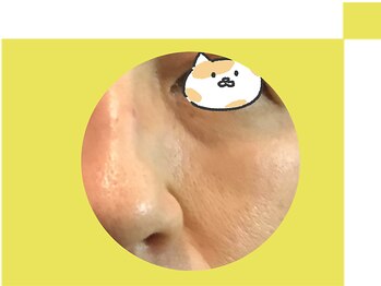 キュアフロウ 新潟巻/ヘルシー&ビューティー（9）