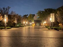 隠れ家アオ(ao)/徳川園徒歩圏内、お仕事帰りに