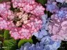 女性の方限定【もみほぐし 60分コース】4200円⇒