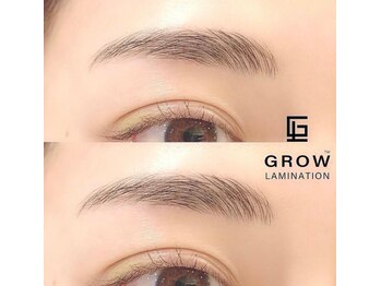 アルテ アイアンドビューティー(Arte eye&beauty)/話題の美眉グロウラミネーション