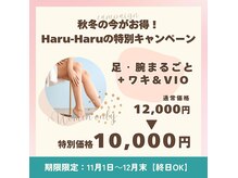 脱毛サロン ハルハル(Haru-Haru)の雰囲気（女性一番人気メニューが今だけお得♪）